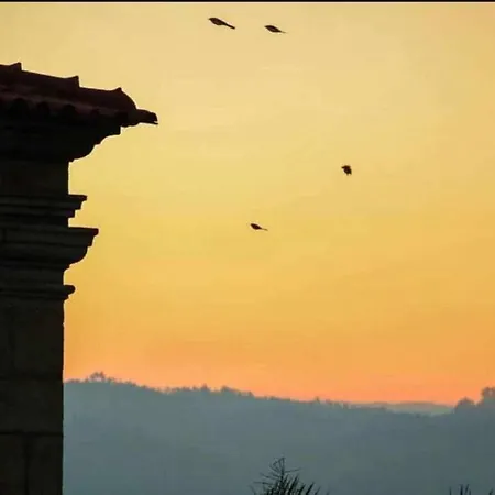 Apartment Regouro - An Hidden Gem In Douro Valley *