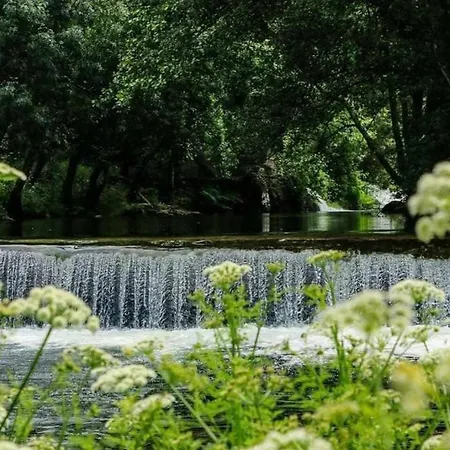 Regouro - An Hidden Gem In Douro Valley * Boassas
