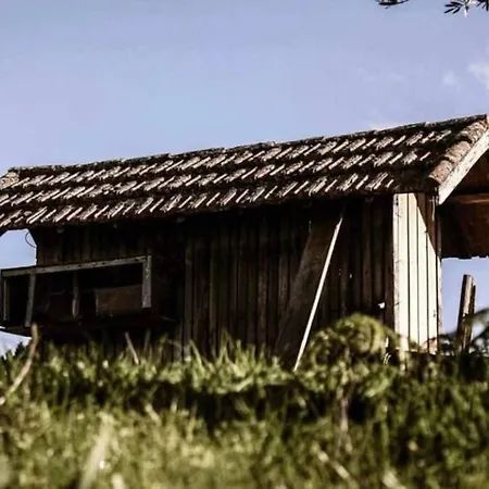 Regouro - An Hidden Gem In Douro Valley Apartment