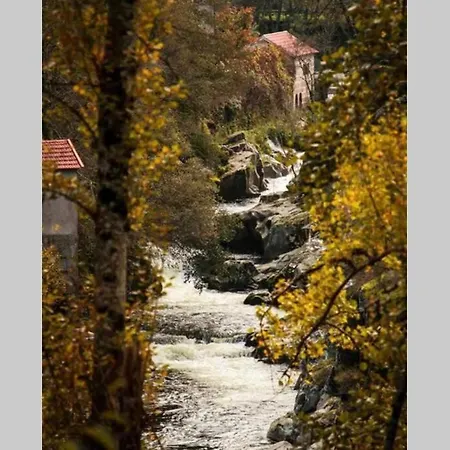 Regouro - An Hidden Gem In Douro Valley Apartament