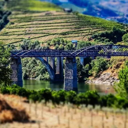 Regouro - An Hidden Gem In Douro Valley דירה *