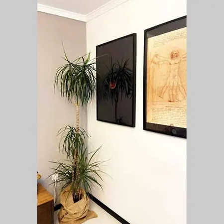 Regouro - An Hidden Gem In Douro Valley Apartment Boassas