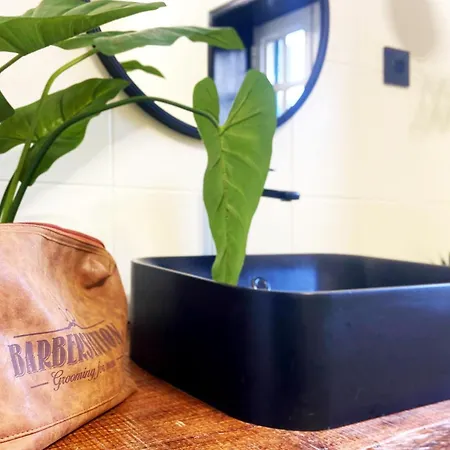 Regouro - An Hidden Gem In Douro Valley Boassas