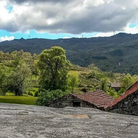 Regouro - An Hidden Gem In Douro Valley Apartment