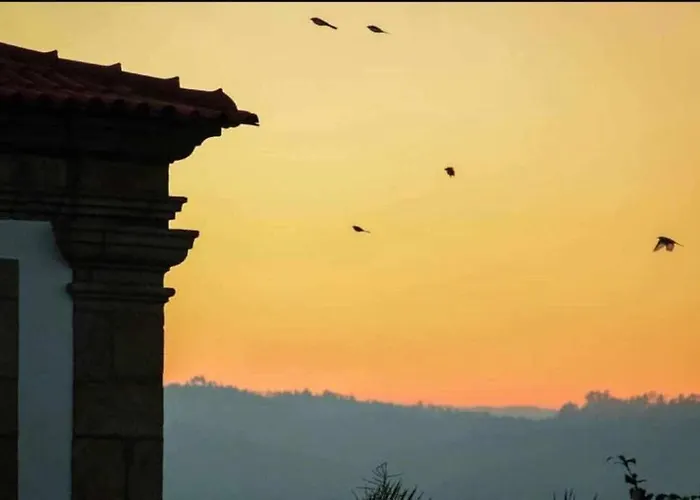 Apartment Regouro - An Hidden Gem In Douro Valley *