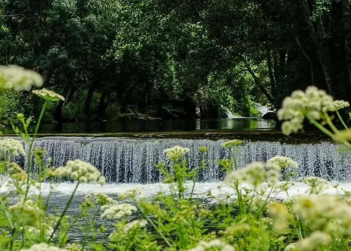 Regouro - An Hidden Gem In Douro Valley * Boassas