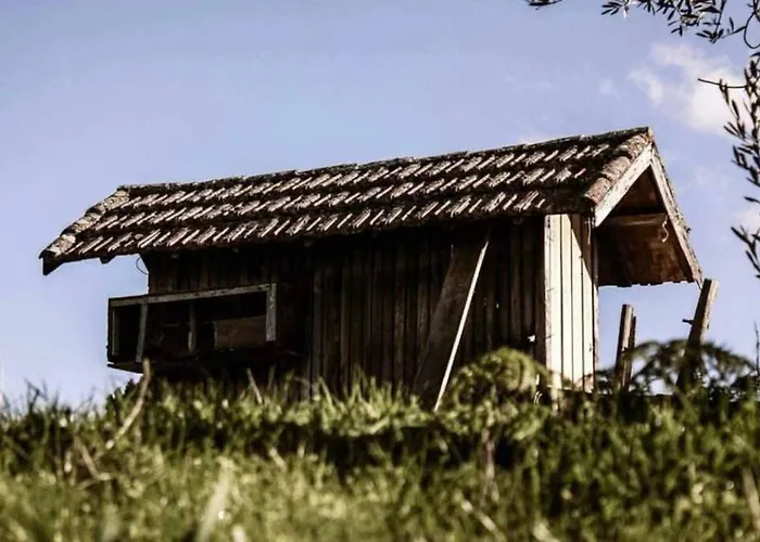 Regouro - An Hidden Gem In Douro Valley Apartment