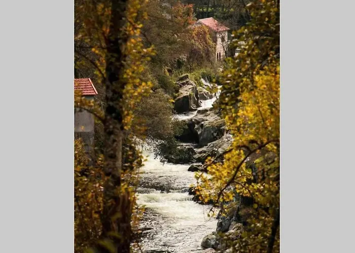 Regouro - An Hidden Gem In Douro Valley Apartment