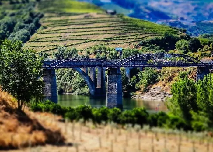 Regouro - An Hidden Gem In Douro Valley Appartamento *