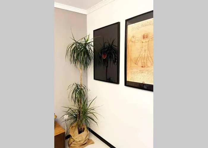 Regouro - An Hidden Gem In Douro Valley Apartment Boassas