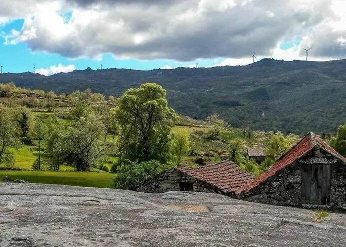Regouro - An Hidden Gem In Douro Valley Apartment