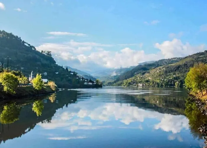 Regouro - An Hidden Gem In Douro Valley Apartment *